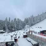 Forest Star On The Slope فندق بوروفتس