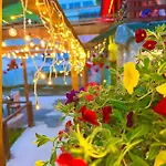 Forest Star On The Slope فندق