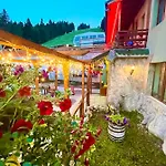 Forest Star On The Slope بوروفتس