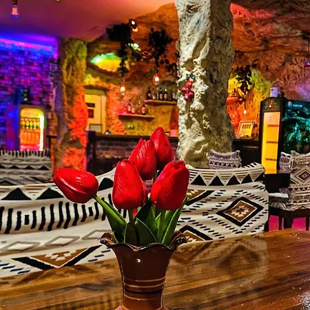 Forest Star On The Slope