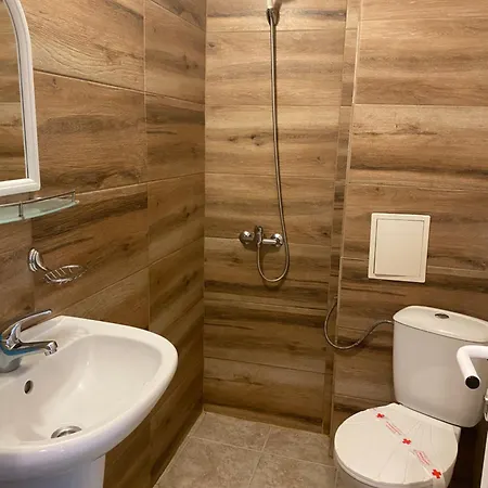 Forest Star On The Slope Borovets