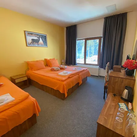 Forest Star On The Slope Hotel