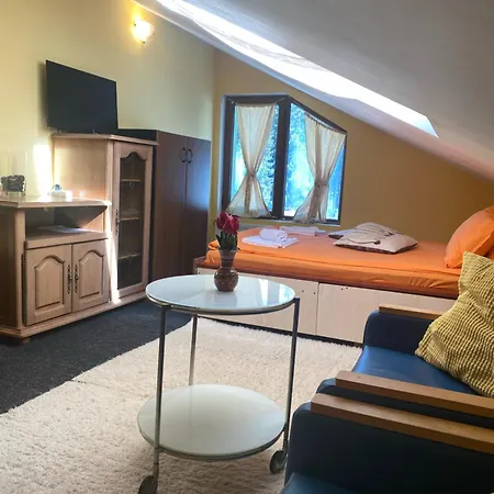 Hotel Forest Star On The Slope 2*