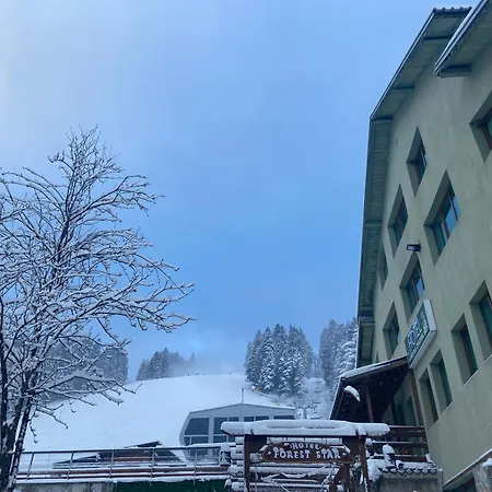 Forest Star On The Slope Borovets