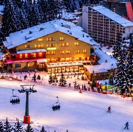 Otel Forest Star On The Slope