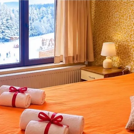 Forest Star On The Slope Otel 2*