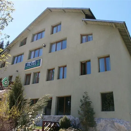 Forest Star On The Slope 2* Boroveț