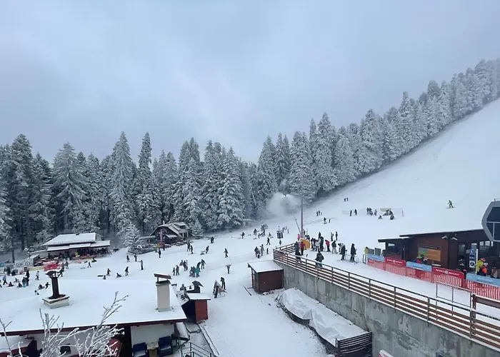 Forest Star On The Slope Hotel Borovets