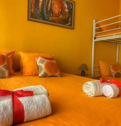 Forest Star On The Slope Borovets