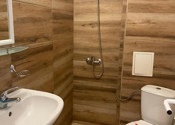 Forest Star On The Slope Borovets