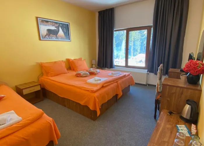 Forest Star On The Slope Hotel