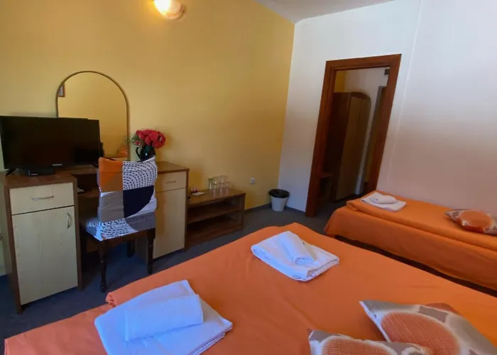 Hotel Forest Star On The Slope