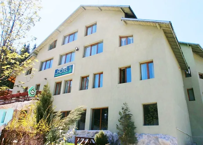 Forest Star On The Slope